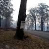 20200125 064535 (Medium)